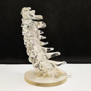 Canion3D Cervical Spine Resin Left Side