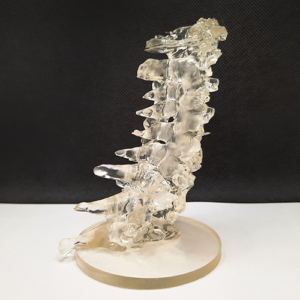 Canion3D Cervical Spine Resin Right Side
