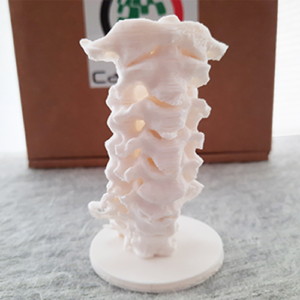 Canion3D Cervical Spine PLA Back 2